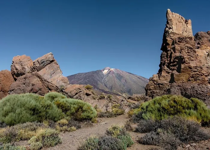 公寓 Eden Oasis Boho 1 拉斯加莱塔斯