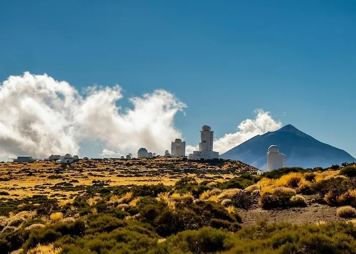 Eden Oasis Boho 1 拉斯加莱塔斯