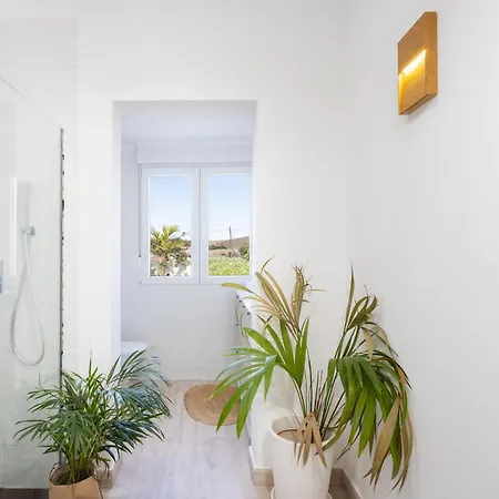 Eden Oasis Boho 1