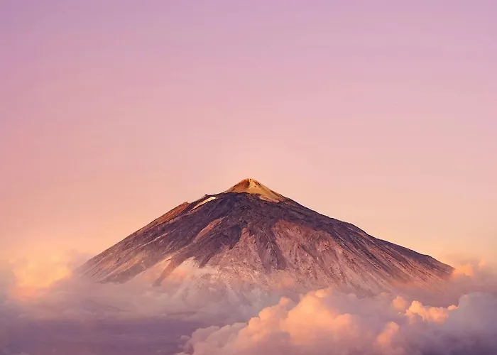 Апартаменты Eden Oasis Boho 1 *